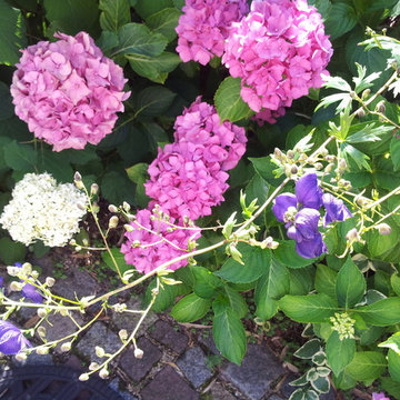 Den Garten (er)leben in Harmonie