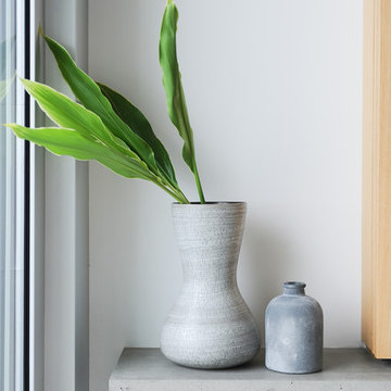 Bellevue Home