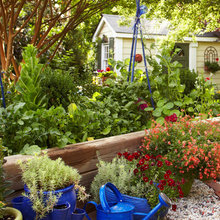 Bridgefield Backyard Oasis