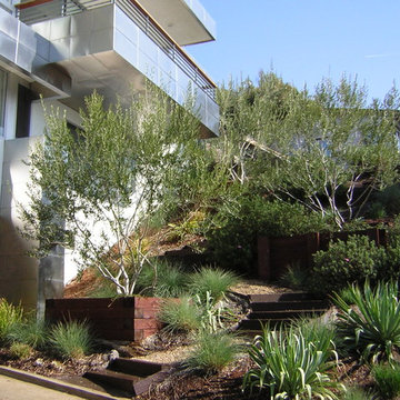 Pacific Palisades