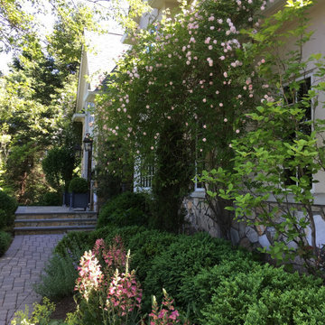 Rambling roses, foxgloves in bloom