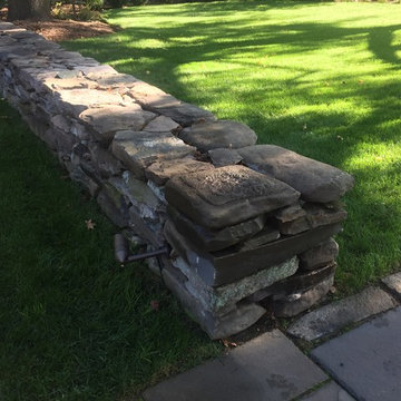 Historic Yard Restoration