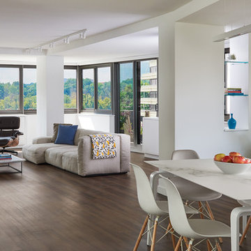 SieMatic Kitchen Condo Remodel