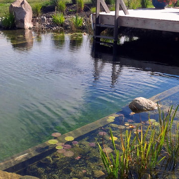 Gilmour Natural Swim Pond