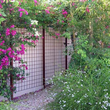 Schoch Main House - Hot Tub Privacy Fence