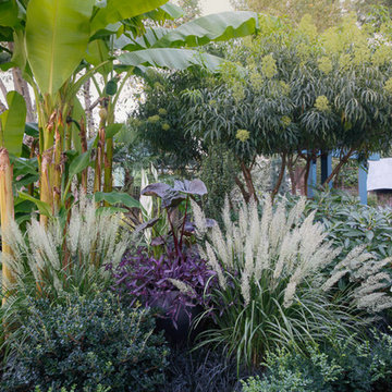 Lilyvilla Display Garden