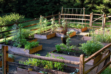 Photo of a traditional garden in New York with a vegetable garden.