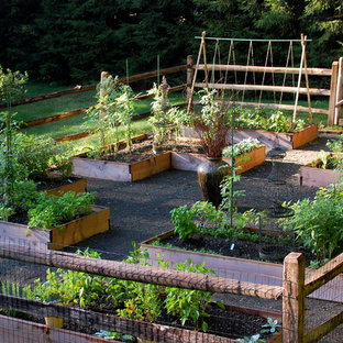 75 Beautiful Vegetable Garden Landscape Pictures Ideas October 2020 Houzz,Low Budget Living Room Home Interior Design