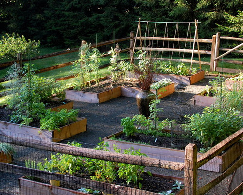 Vegetable Garden Design Photos | Houzz