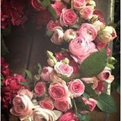 Debbie Griffith's photo