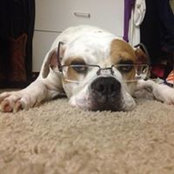 Chris Lombardo's photo