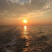 Caitlin Heavey's photo