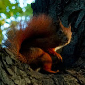Piotr Stopniak's photo