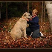 Judy MacIntosh's photo