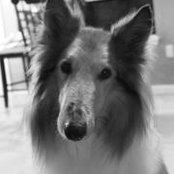 Stephanie Artz's photo