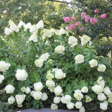 Garden Views in Montclair