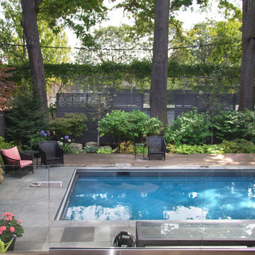 Rosedale Backyard