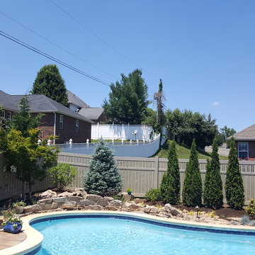 Backyard Oasis
