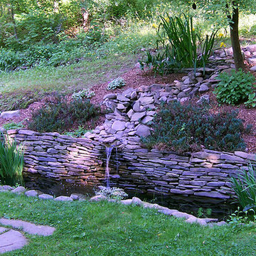 Informal Water Garden