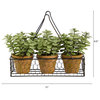 7" Mini Jade Garden Artificial Plant, Hanging Planter