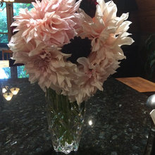 Garden Flowers