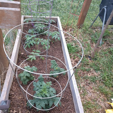 Food Garden