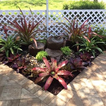 Rosenfeld Lanai and Atrium Project