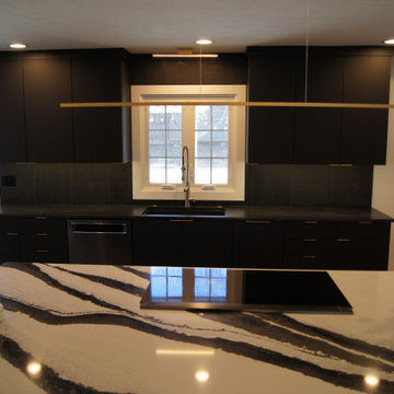 District 66 Kitchen Remodel
