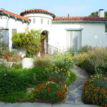 Landscape Ideas