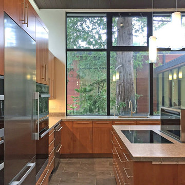 ORINDA Mid-Century Modern Re-Imagined