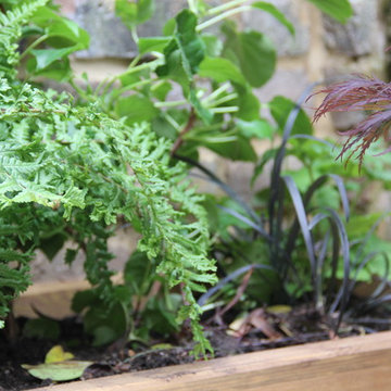 N16 Container Garden