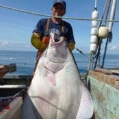 Kevin Johnson's photo