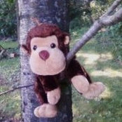 Sharon Champs foto