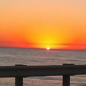 Christine Evans's photo
