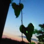 Melanie Fordham's photo