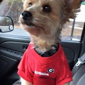 Greg Sorrow's photo