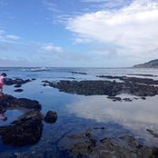 Norma Christina Martinez's photo