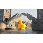 Noel Hayden's photo