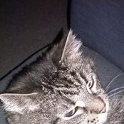 Foto de Anke Voß
