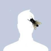 Peter Nham's photo