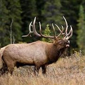 Willie Graber's photo