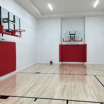 Edina, MN - Hoops, Painted Lines, and Wall Pads