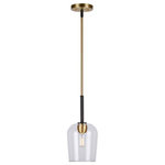 Forte - Forte 2726-01-62 Palmer, 1 Light Mini Pendant - The Palmer pendant comes in gold finished steel wiPalmer 1 Light Mini  Black/Soft Gold Clea *UL Approved: YES Energy Star Qualified: n/a ADA Certified: n/a  *Number of Lights: 1-*Wattage:75w Medium Base bulb(s) *Bulb Included:No *Bulb Type:Medium Base *Finish Type:Black/Soft Gold