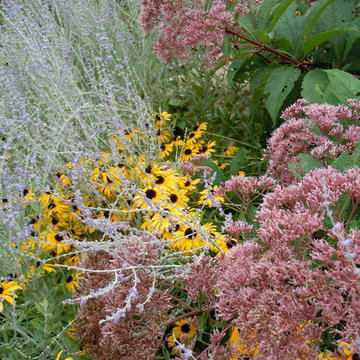 Plant Combinations