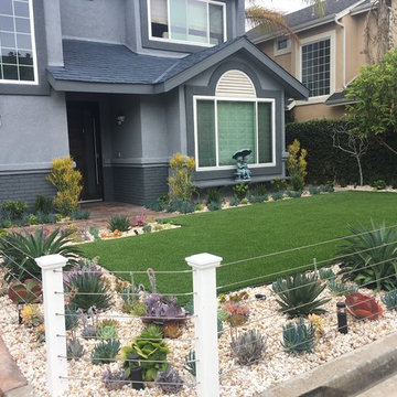 Succulent Splendor in Eastside Costa Mesa