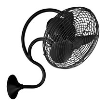 Fans