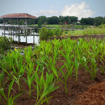Planting