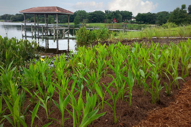 Inspiration for a contemporary landscaping in Orlando.