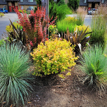 NEW LANDSCAPE DESIGN