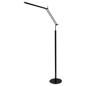 Dimmable LED Grand Piano Lamp - Transitional - Lamps - by Buildcom | Houzz